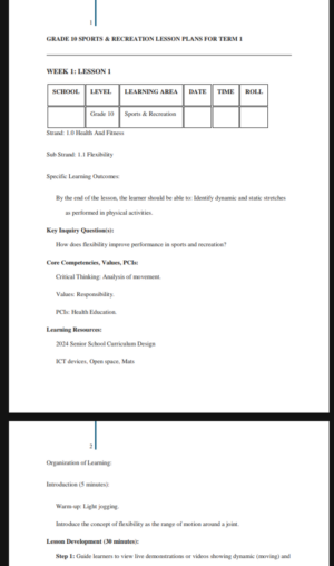 Sports and recreation Grade 10 lesson plan term 1