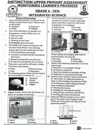 Distinction 001 grade 6 2026