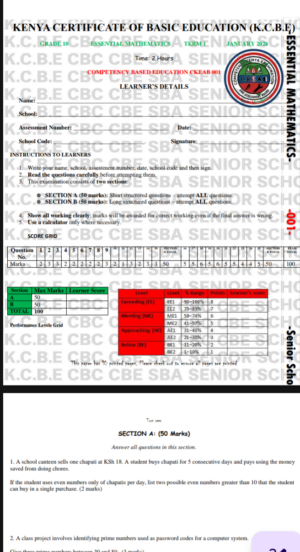 Grade 10 essential Mathematics Exam Term 1 2026