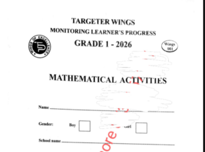 Grade 1 Targeter wings 001 2026
