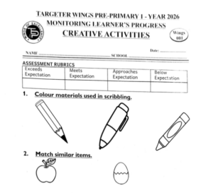 Pp1 Targeter wings 001 2026
