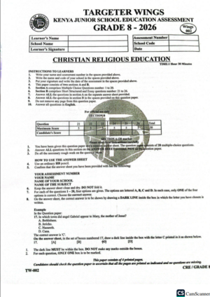 Targeter wings 002 2026 grade 8