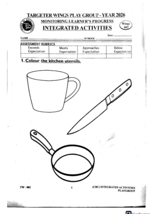 Targeter wings 002 2026 Play Group