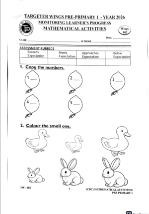 Targeter wings 002 2026 pp1