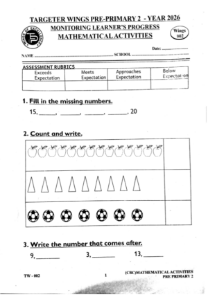 Targeter wings 002 2026 pp2