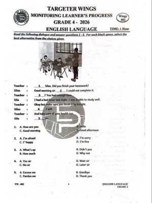 Targeter wings 002 2026 grade 4