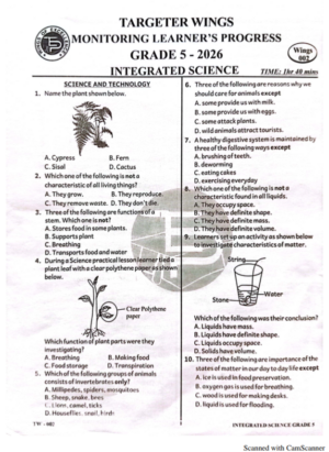 Targeter wings 002 2026 grade 5