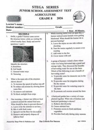 Stega 003 grade 8 2026 exams with Marking schemes