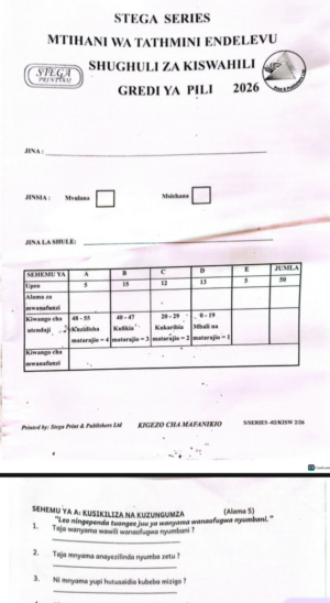Stega 002 Grade 2 2026 exam with marking schemes