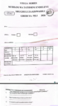 Stega 002 Grade 2 2026 exam with marking schemes