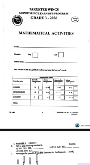 Targeter wings 003 2026 grade 3