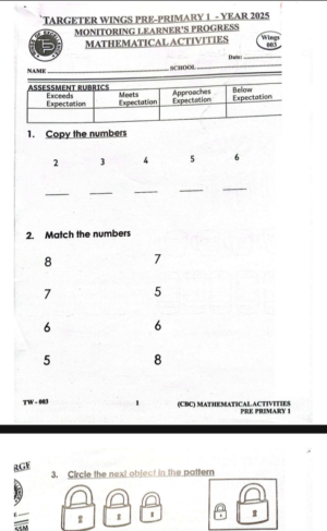Targeter wings 003 pp1 2025