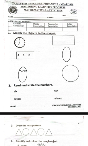 Targeter wings 003 pp2 2025