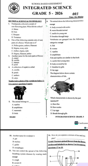Compass 003 grade 5 2026