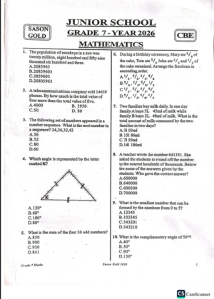 Sason Gold 003 Grade 7 2026