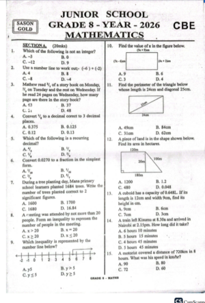 Sason Gold 003 Grade 8 2026