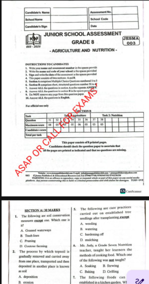 Jesma 003 grade 8 2026 revision papers with marking schemes