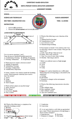 Grade 6 end term 1 exams 2026
