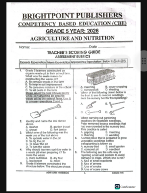 Grade 5 Brightpoint opener term 2 2026 exams