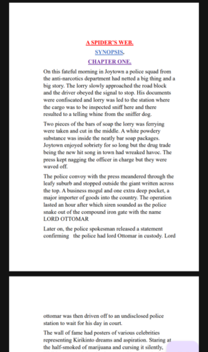 A SPIDER’S WEB NOVEL BY SAMUEL WACHIRA GUIDE NOTES