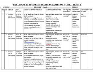 GRADE 10 TERM 2 BUSINESS STUDIES SCHEMES 2026