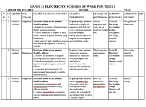 GRADE 10 TERM 2 ELECTRICITY SCHEMES 2026