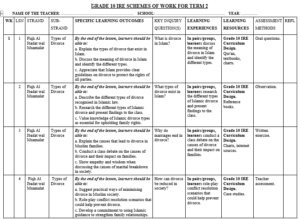 GRADE 10 TERM 2 IRE SCHEMES 2026