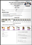Grade 3 Mid Term 2 2026 exams with marking schemes