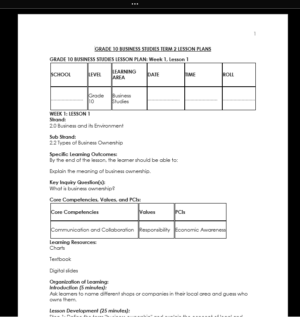 GRADE 10 TERM 2 BUSINESS STUDIES LESSON PLANS