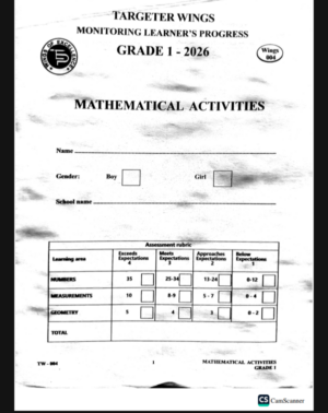 Targeter wings 004 grade 1 2026