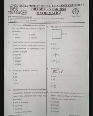 STEP FLYER 004 GRADE 6 2026