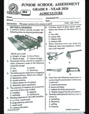 STEP FLYER 004 GRADE 8 2026