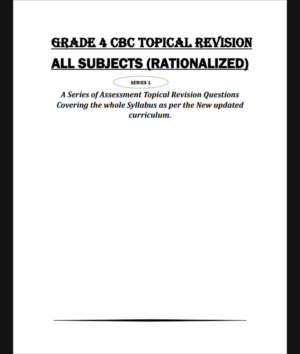 Grade 4 Topical Revision Booklet