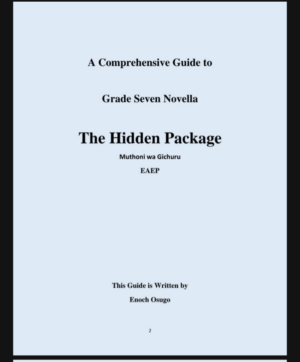 A comprehensive Guide to The hidden package