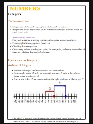 Mathematics Grade 8 Rationalized notes Term 1,2,3