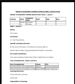 GRADE 10 TERM 2 MANDARIN CHINESE LESSON PLANS
