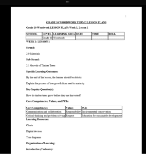 GRADE 10 TERM 2 WOODWORK LESSON PLANS