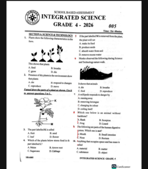 Compass 005 Grade 4 2026