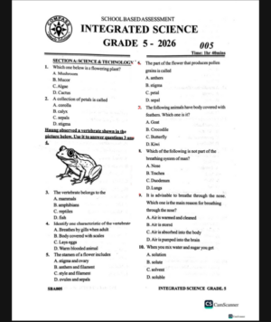 Compass 005 Grade 5 2026