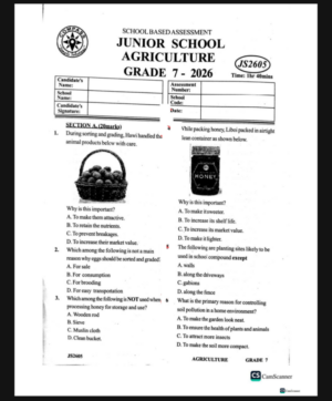 Compass 005 Grade 7 2026