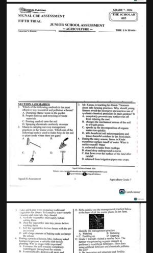Signal 005 Grade 7 2026 Revision papers