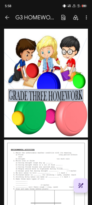 Grade 3 August Holiday assignments booklet